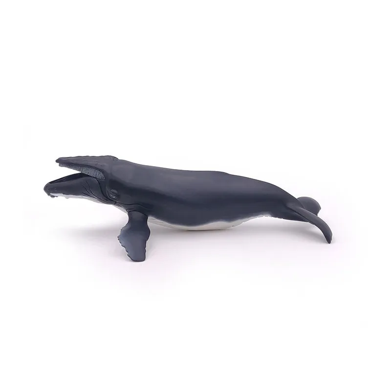 Baleine à bosse - 29x16,3cm-4