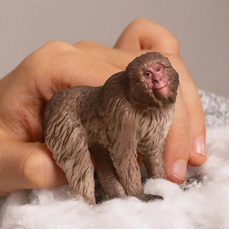 Macaque japonais - Wild Life-1