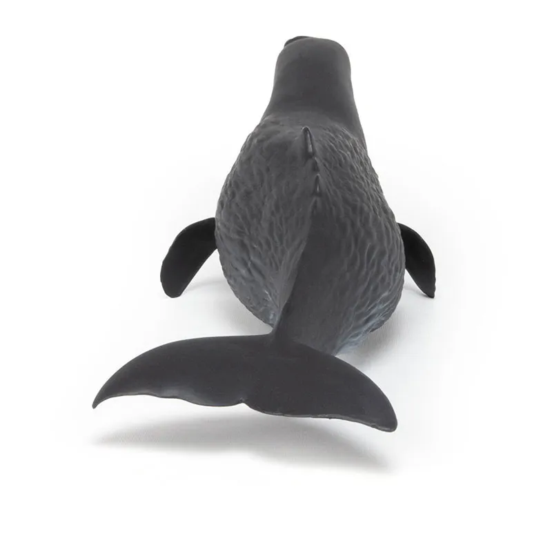 Cachalot - 26x8,2cm-4