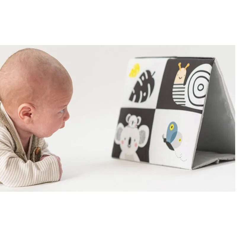 Livre miroir chevalet Koala - 0m+-6