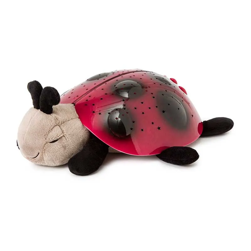 Veilleuse Twilight Coccinelle Rouge/Noir - 21x11x28cm-1