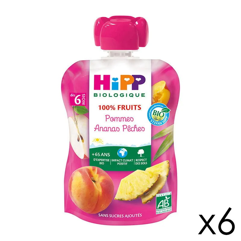 6 Gourdes Pommes Ananas Pêches BIO 90g - 6x90g-0