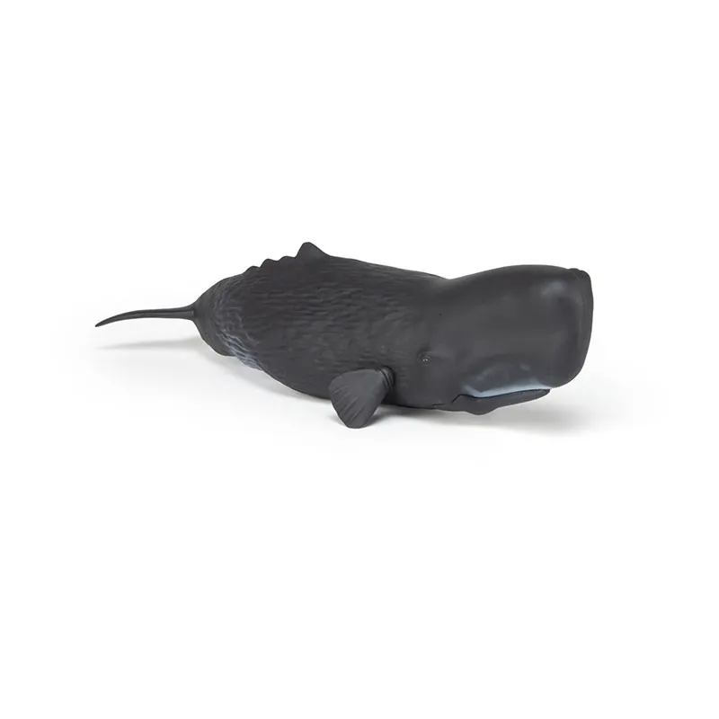 Cachalot - 26x8,2cm-3