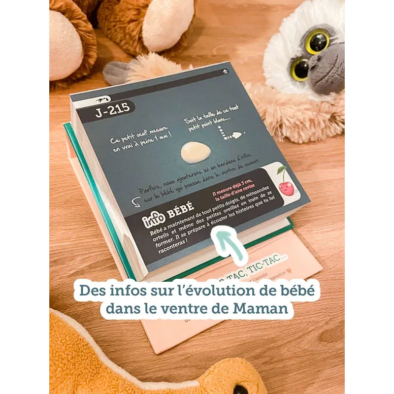 Calendrier de l'Avant Bébé - Futurs grands frères & sœurs -2