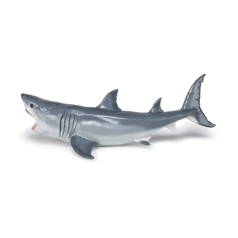 Mégalodon - 22x12x7cm-4