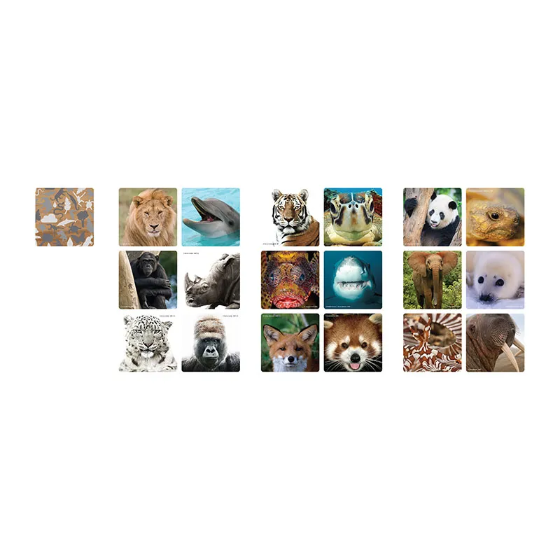 Jeu de Memory WWF Selfies 36pcs - 36m+-1