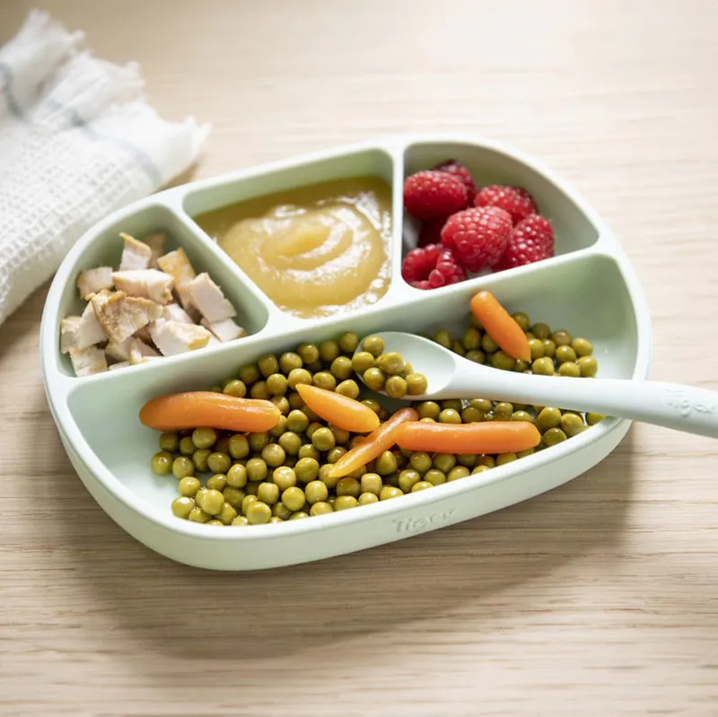 Assiette à ventouse compartimentée Vert - 4m+-2