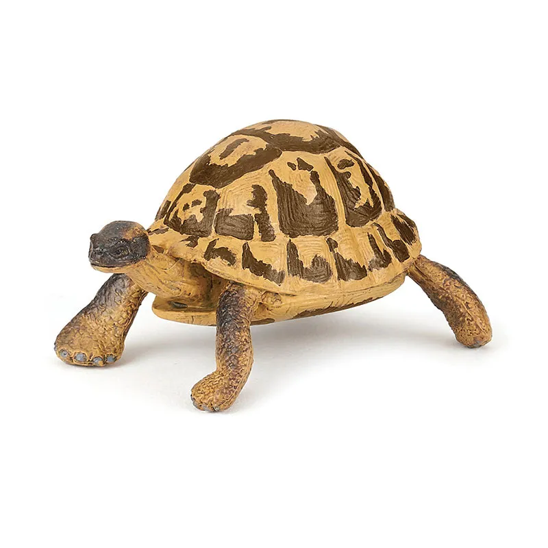 Tortue d'Hermann - 7x5cm-0