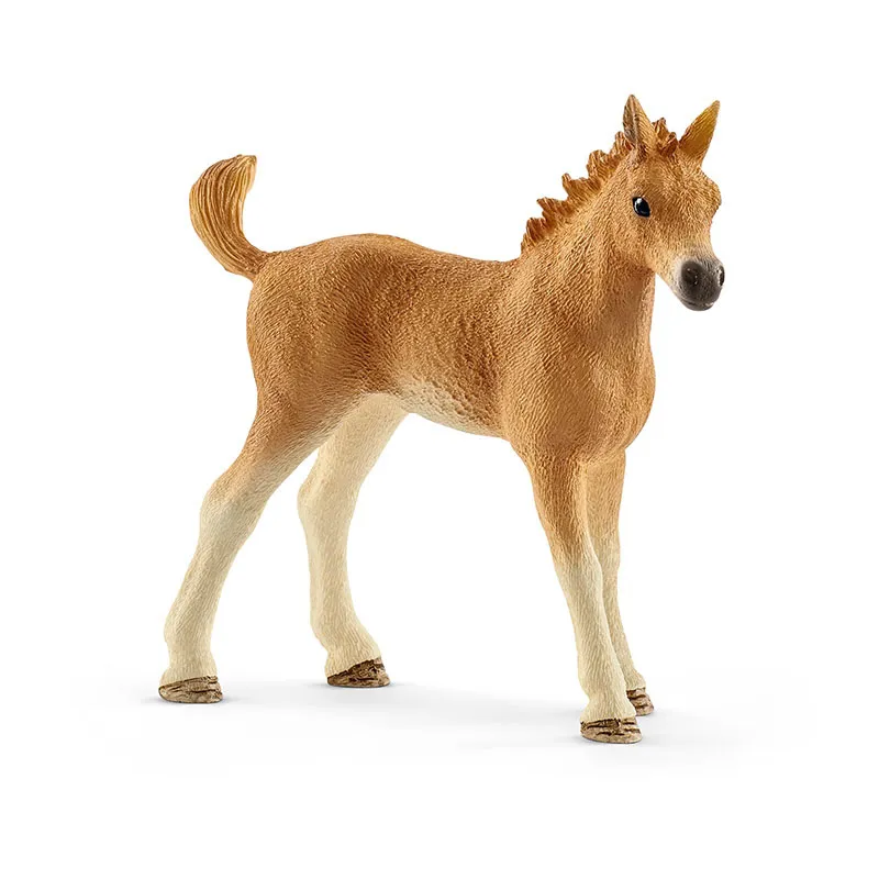 Les soins pour bébés animaux - Horse Club-3