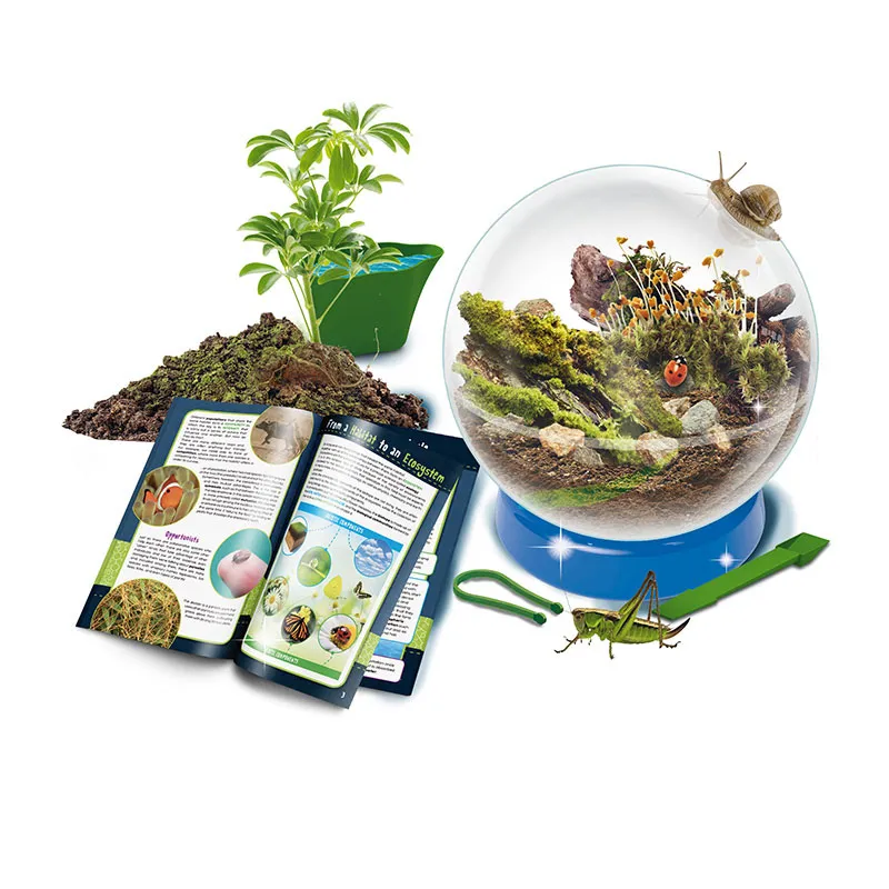 Habitats & Écosystèmes I'm a Genius 7pcs - 7+-1