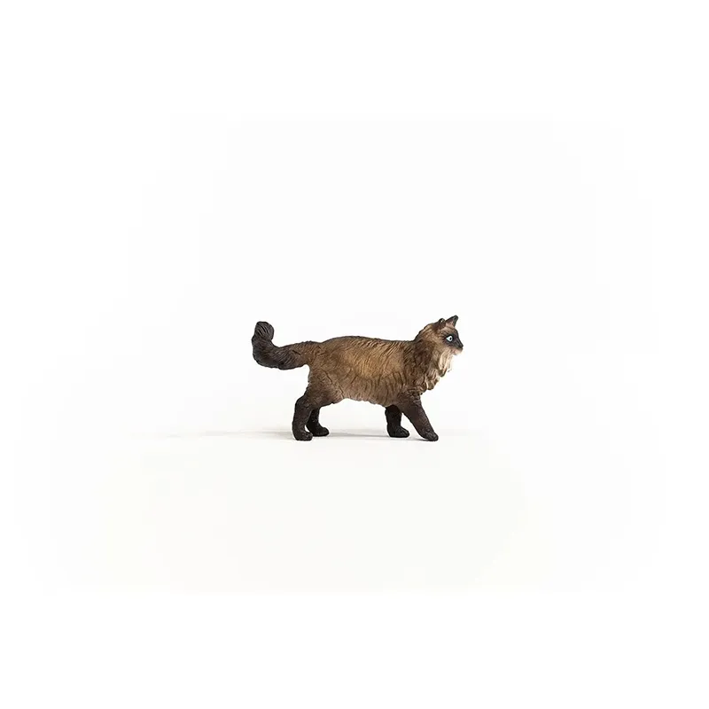 Chat Ragdoll - Farm World-3