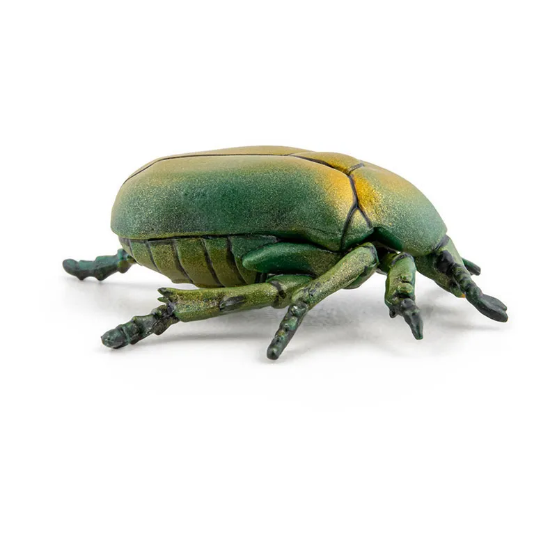 Cétoine doré - 4,3x4x1,5cm-4