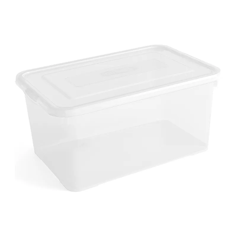 Boîte de rangement Handy Transparent - 25L-6