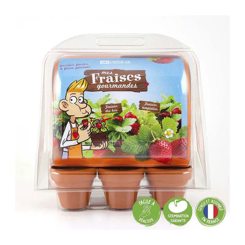 Mini serre + 6 pots - Fraisiers-1