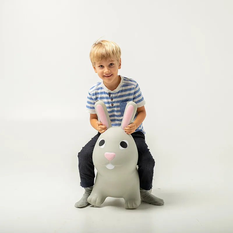 Lapin sauteur Gris - 12m+-2