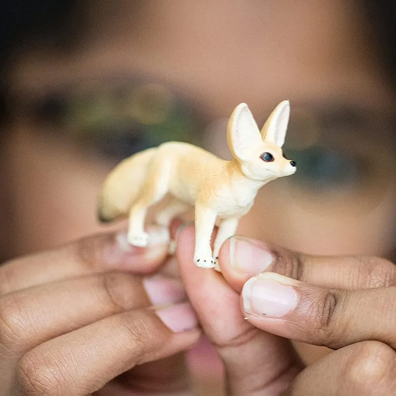 Fennec - Wild Life-3