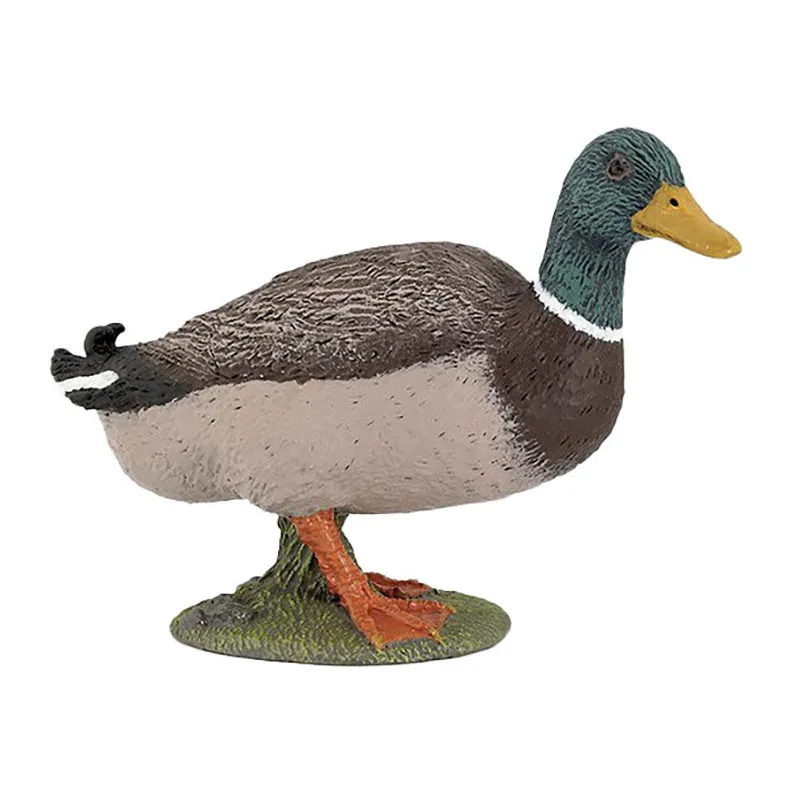 Canard colvert - 7x3cm-0