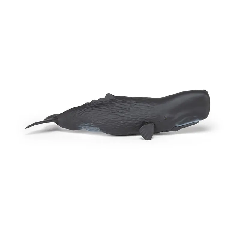 Cachalot - 26x8,2cm-2