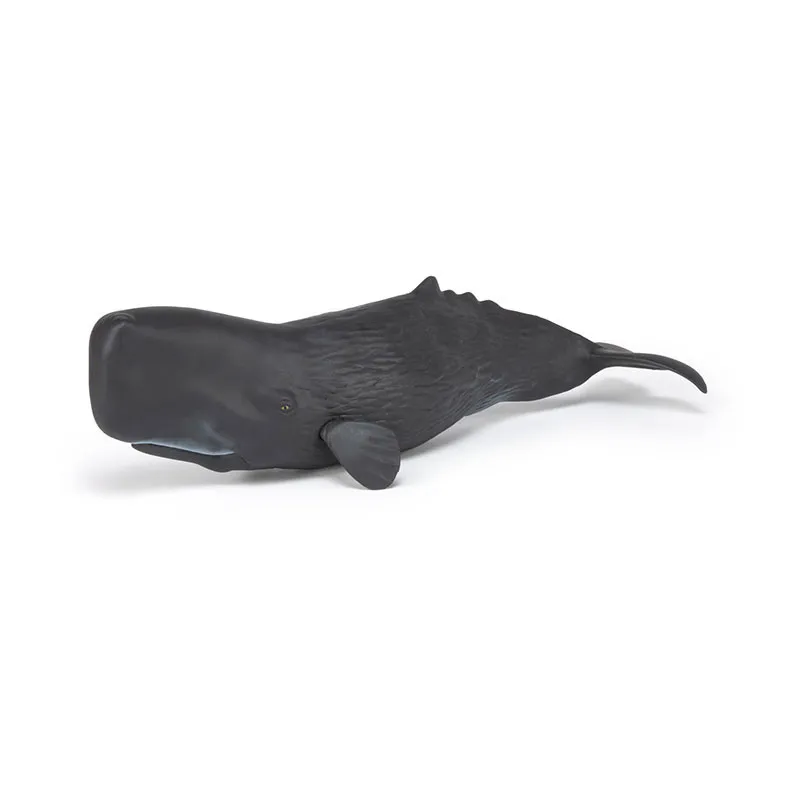 Cachalot - 26x8,2cm-1