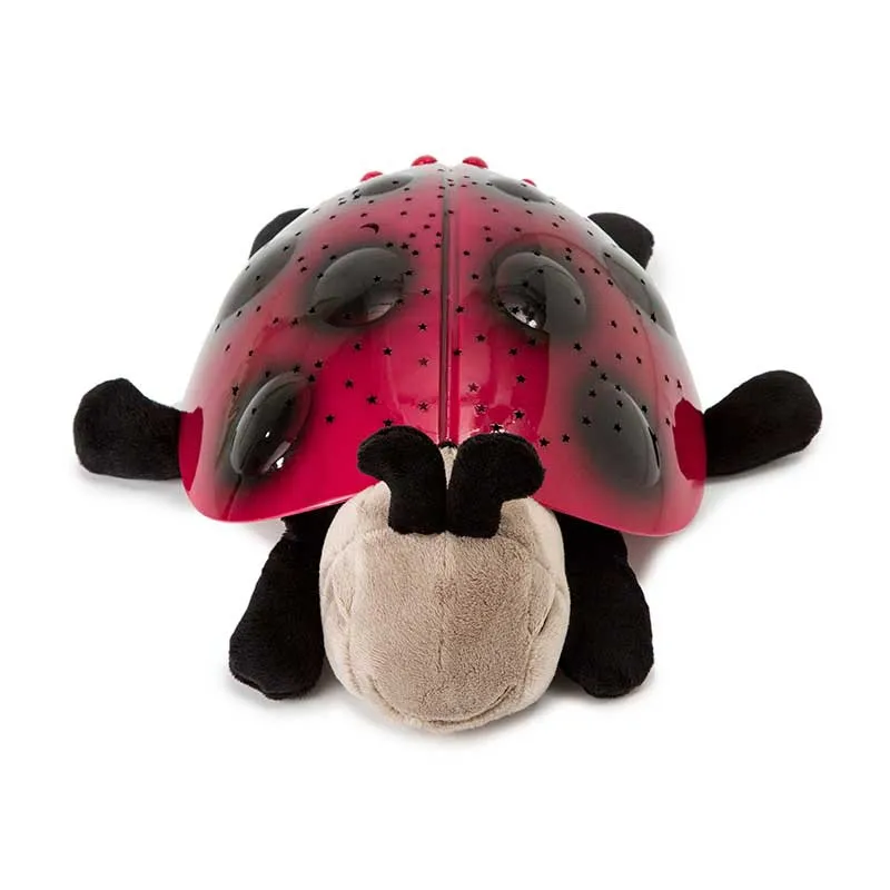 Veilleuse Twilight Coccinelle Rouge/Noir - 21x11x28cm-2