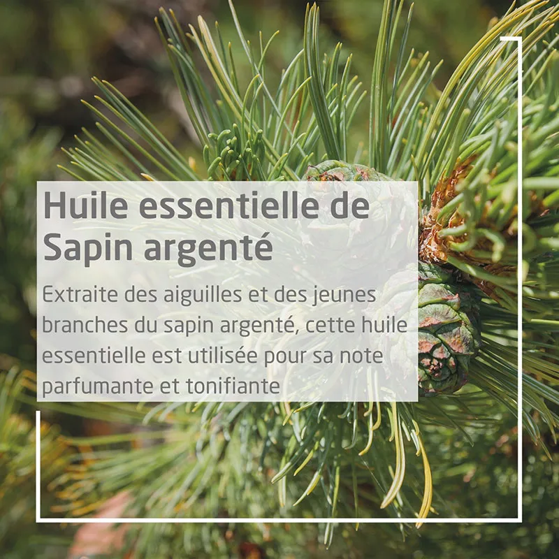 Bain revitalisant au Sapin - 200ml-2