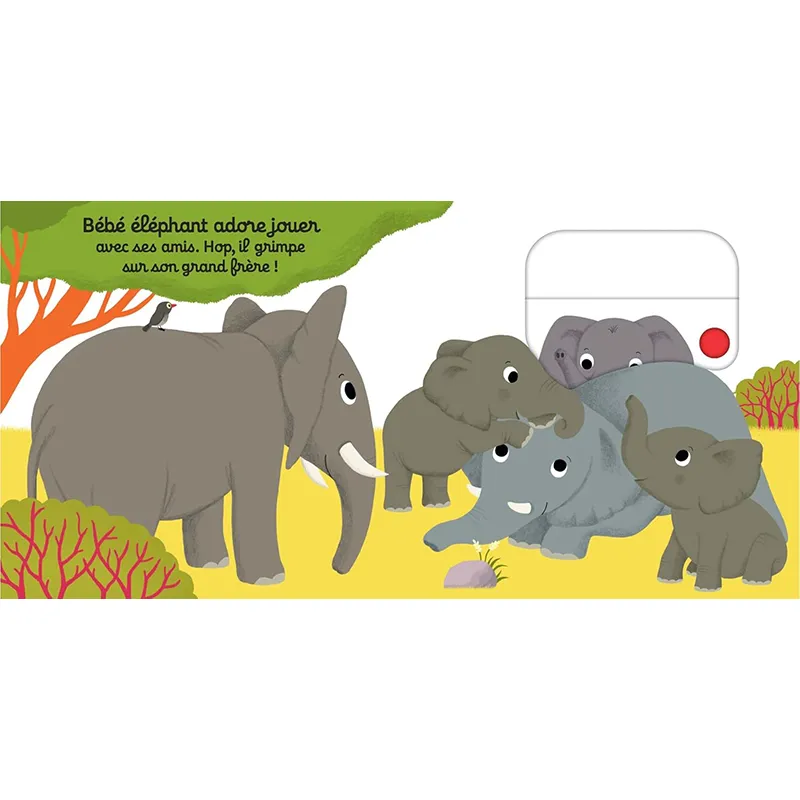 On s'amuse, petit éléphant ? - 12m+-2