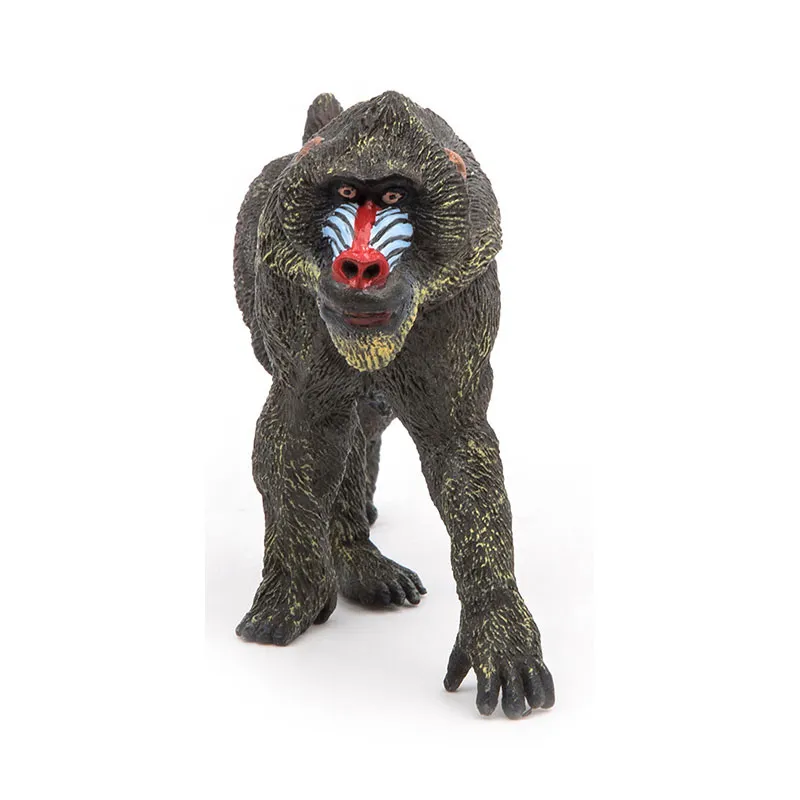 Mandrill - 4x10x7,5cm-1