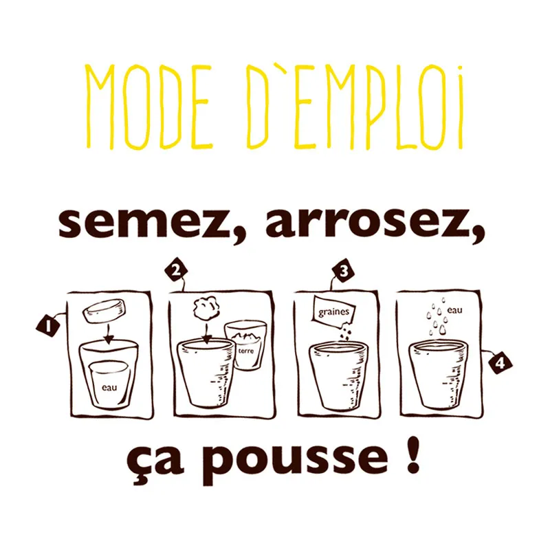 Kit message plante - Bananier J'ai la banane-4