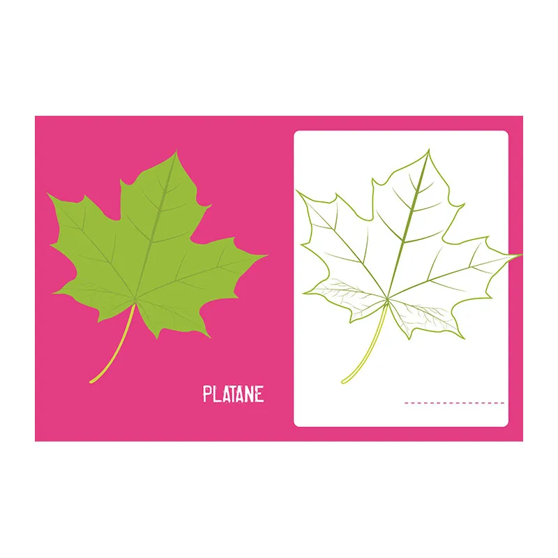 Je colorie les feuilles des arbres - 4+-2
