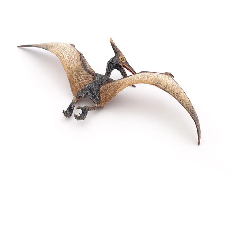 Ptéranodon - 23x23cm-2