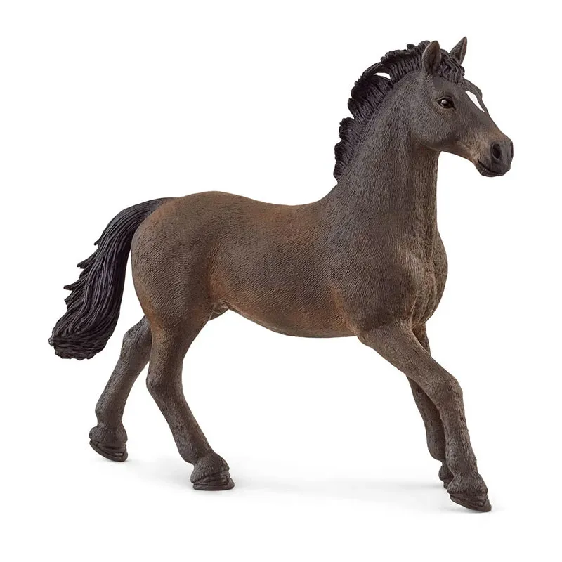 Étalon Oldenbourg - Horse Club-1