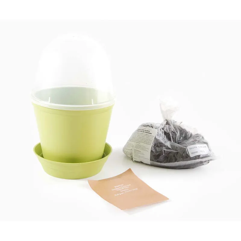 Pot-cloche - Basilic BIO-1