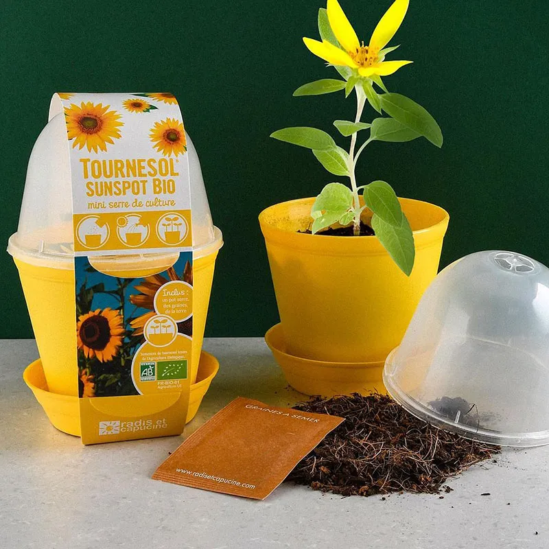 Pot cloche - Tournesol Bio-0