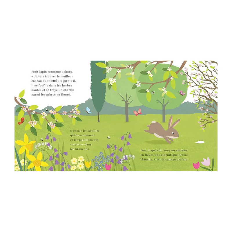 Le printemps de petit lapin - 36m+-3