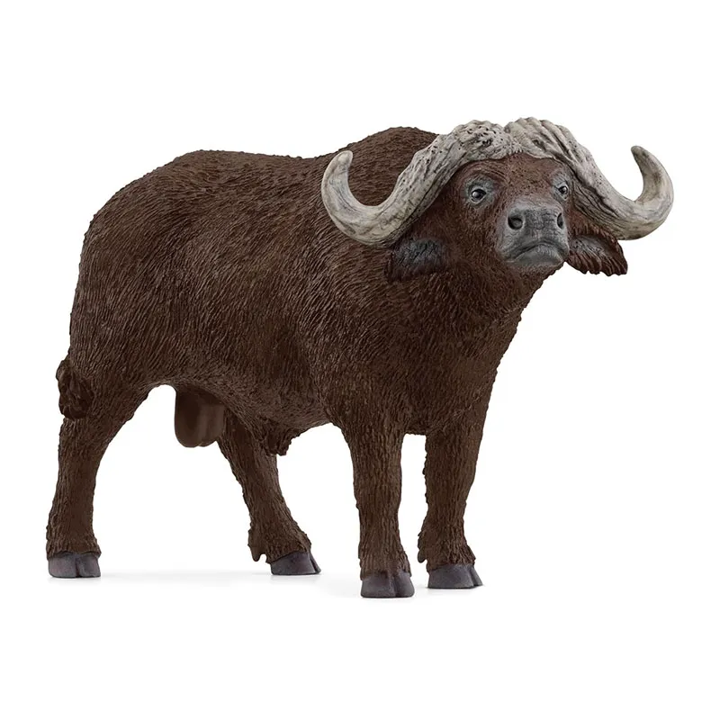 Buffle d’Afrique - Wild Life-0