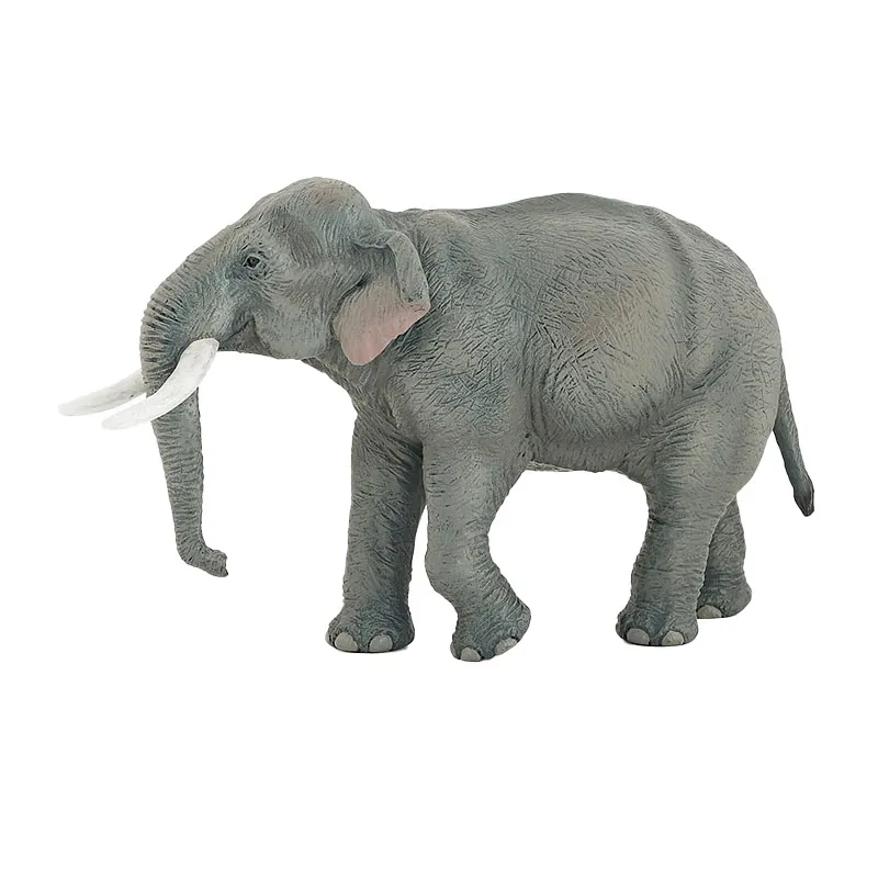 Éléphant d'Asie - 14,44x10,25cm-2