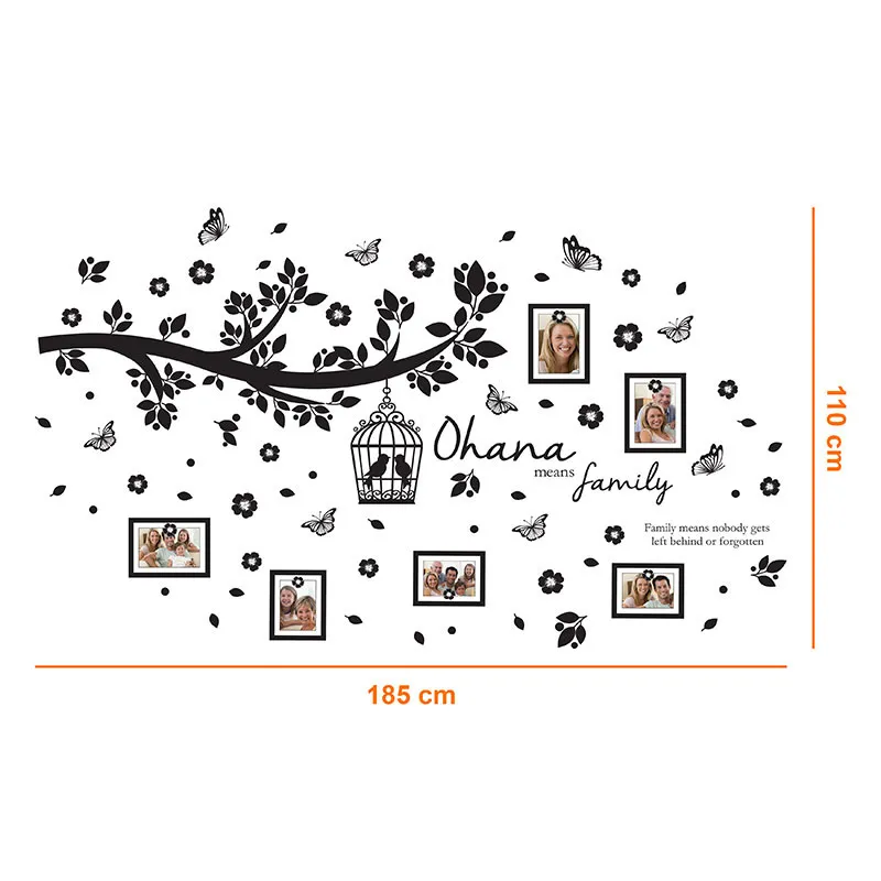 Stickers - Cadres photo & Arbre-1