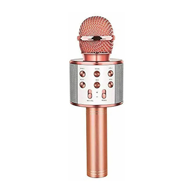 Micro karaoké Bluetooth - Rose Gold-0