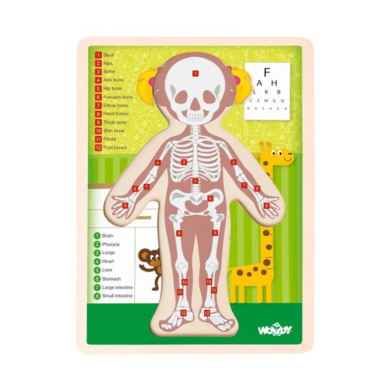 Puzzle Corps humain anglais Fille 13pcs - 36m+-1