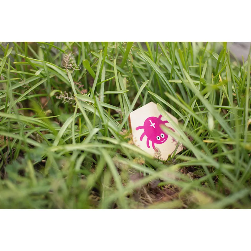 Jeu de recherche active Insectes - 3+-5
