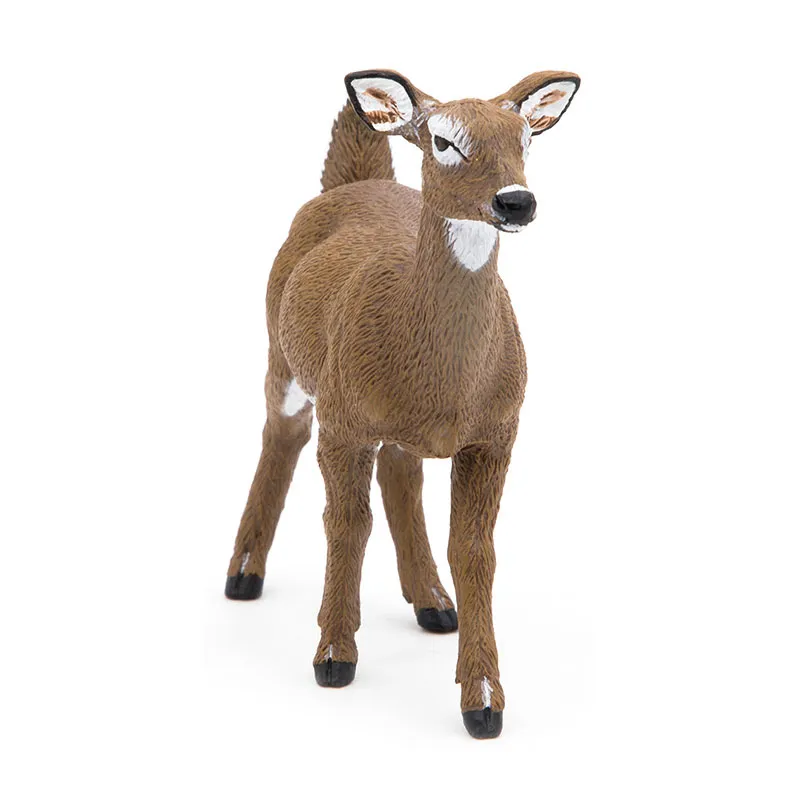 Biche de Virginie - 3x10,2x8,3cm-2