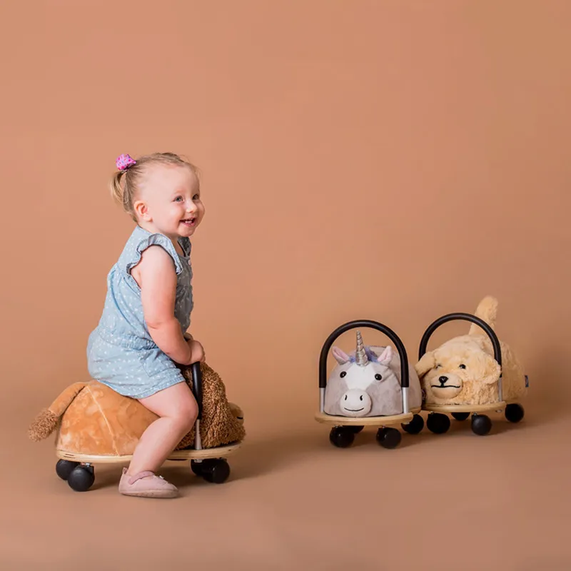 Petit porteur Lion + Housse amovible - 1-3 ans-4