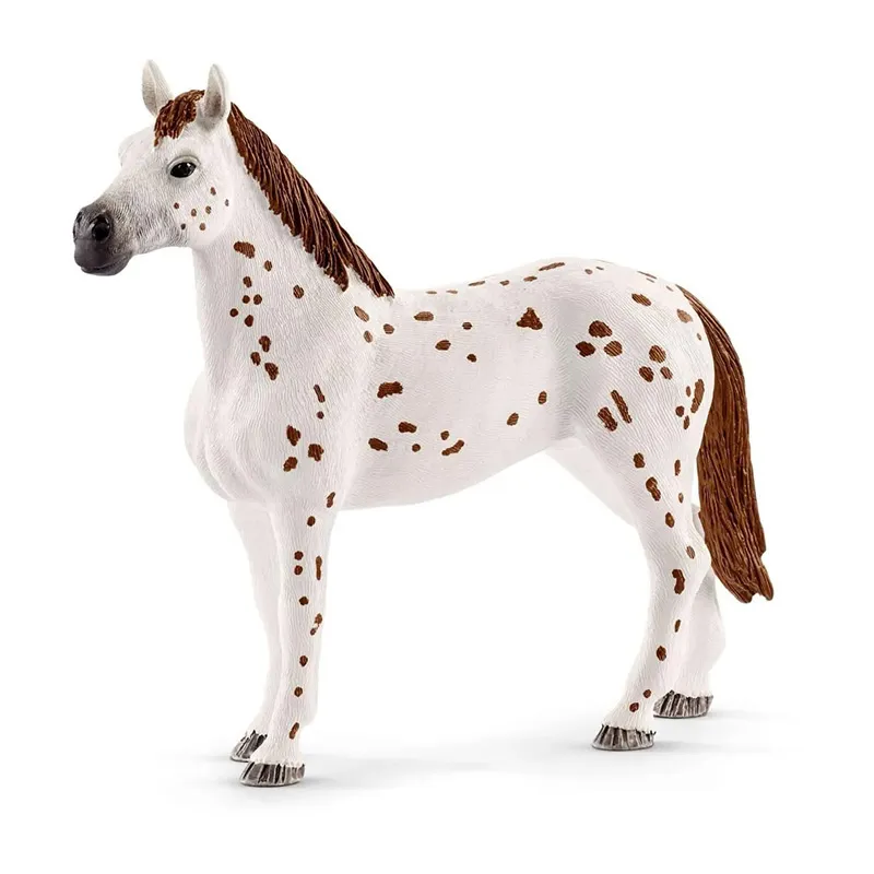 Entraînement au concours - Horse Club-3