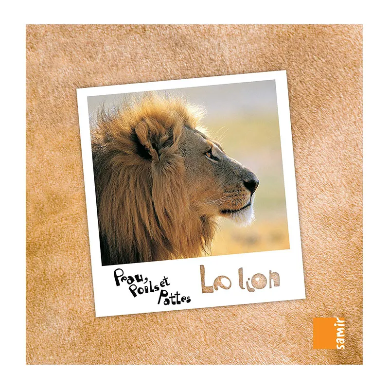 Peau, poils et pattes Lion - 4+-0