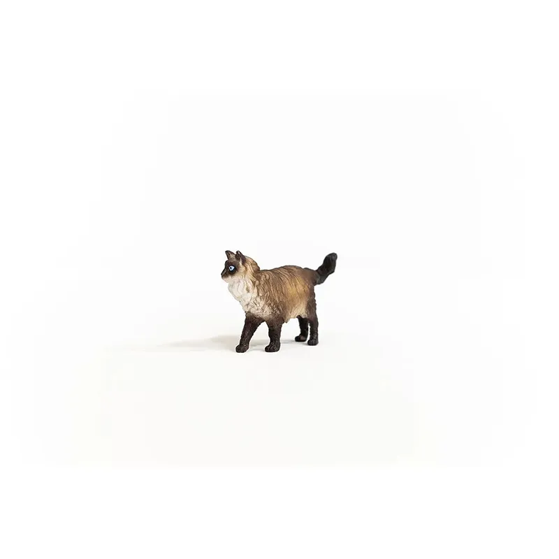 Chat Ragdoll - Farm World-1