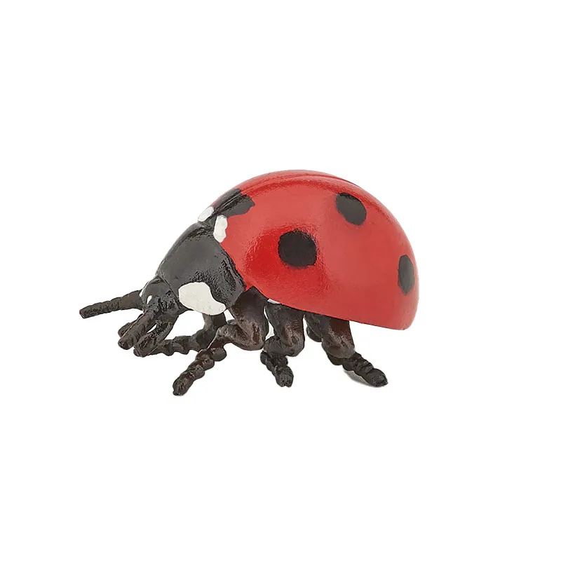 Coccinelle - 3,2x1,8cm-0