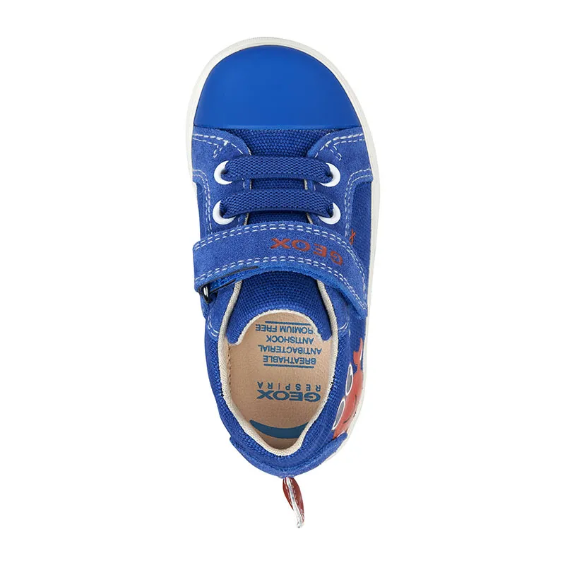 Sneakers Kilwi Crabe - Bleu Royal-4