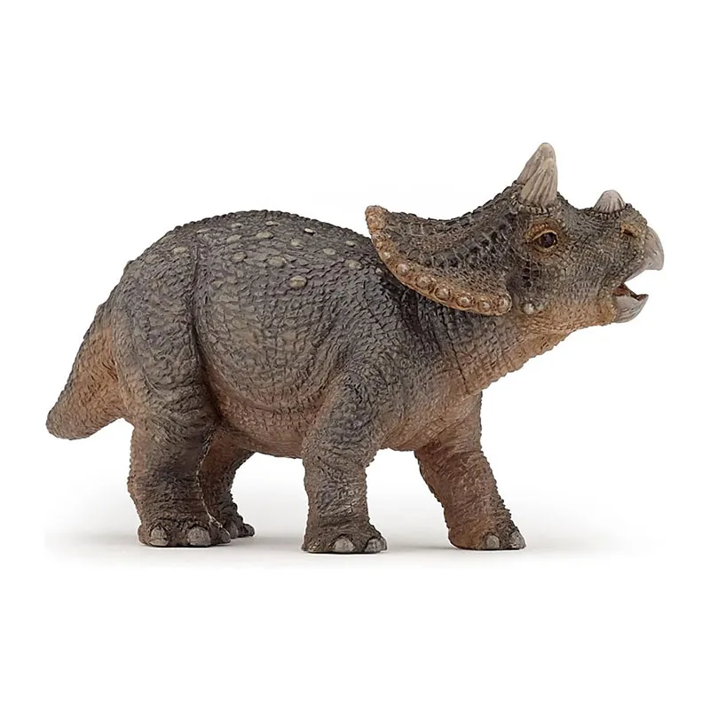 Jeune tricératops - 9,7x6,3cm-0