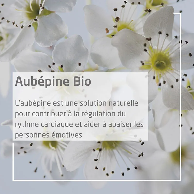 Extrait de plante Aubépine BIO Emotivité - 60ml-2