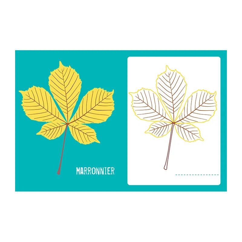 Je colorie les feuilles des arbres - 4+-1